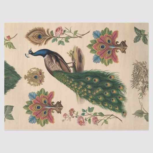 Vintages Solo-Pfauendeckenpapier Seidenpapier (Vorderseite)