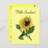 Vintages Sonnenblumen Gelb - Postkarte (Vorne/Hinten)