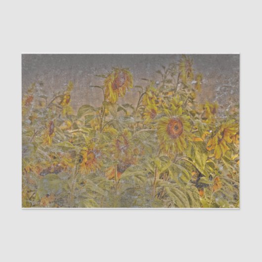 Vintages Sonnenblumenfeld gelb gelb gestört Seidenpapier (Vorderseite)