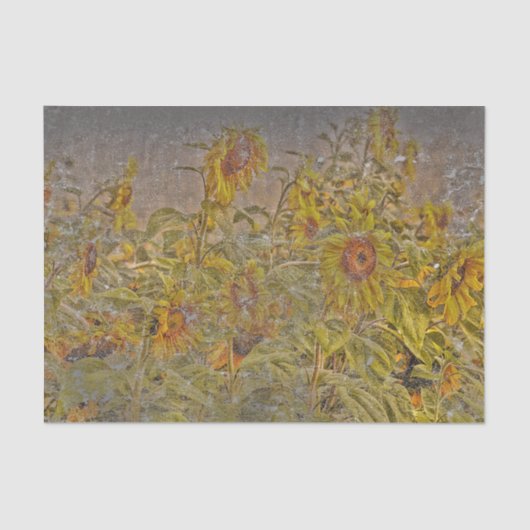 Vintages Sonnenblumenfeld gelb gelb gestört Seidenpapier (Vorderseite)