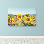 Vintages Sonnenblumenfeld Leinwanddruck (Insitu (Holzboden))