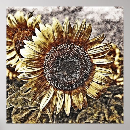 Vintages Sonnenblumengemälde #4 - Plakate (Vorne)