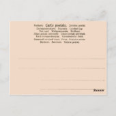 Vintages Spanien, Sallamanca, Oberer Kreuzgang, Postkarte (Rückseite)