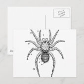 Vintages Spiderdiagramm Postkarte (Vorne/Hinten)