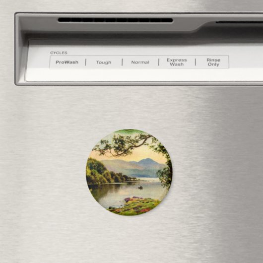 Vintages St. Paddy's Am See Magnet (In Situ (Geschirrspüler))