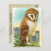 Vintages Stallhuhn Postkarte (Vorne/Hinten)