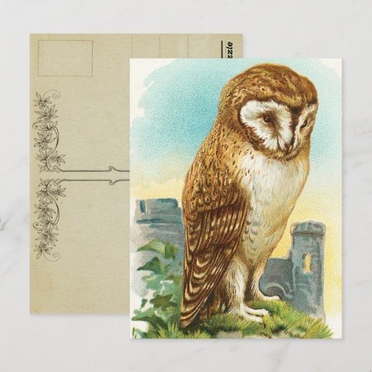 Vintages Stallhuhn Postkarte (Vorne/Hinten)