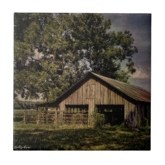 Vintages Südgeorgien Keramik Fliese