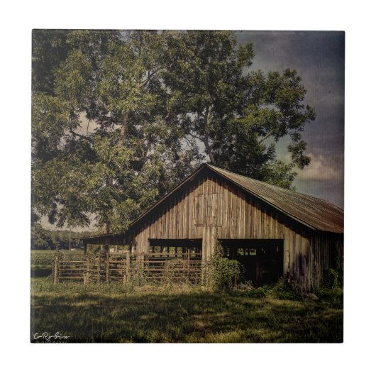 Vintages Südgeorgien Keramik Fliese (Vorderseite)