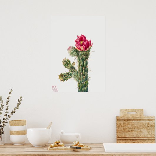 Vintages Sukkulent Illustrations-Poster Poster (Küche)