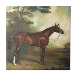 Vintages Thoroughbred-Pferd Fliese