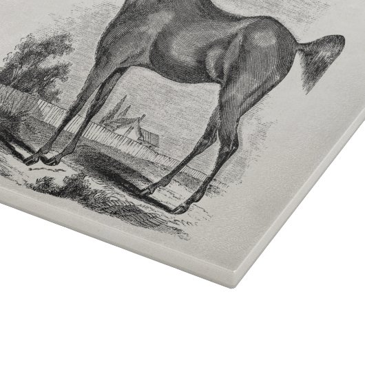 Vintages Thoroughbred-Pferdereiterpersonalisiertes Schneidebrett (Ecke)