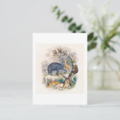 VINTAGES TIERKÖNIGREICH ILLUSTRATION POSTCARD POSTKARTE (Stehend Vorderseite)