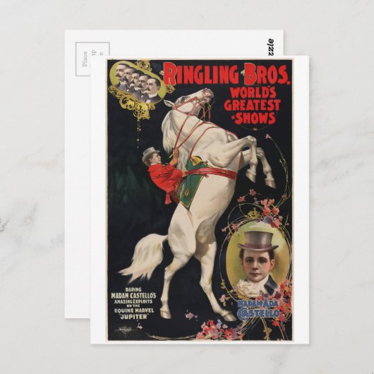 Vintages Tierschutzgesetz Postkarte (Vorne/Hinten)