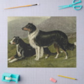 Vintages Tissue Paper Seidenpapier (Basteln)