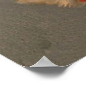 Vintages Titelblatt Poster (Ecke)