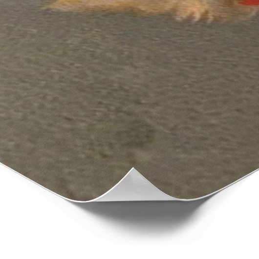 Vintages Titelblatt Poster (Ecke)