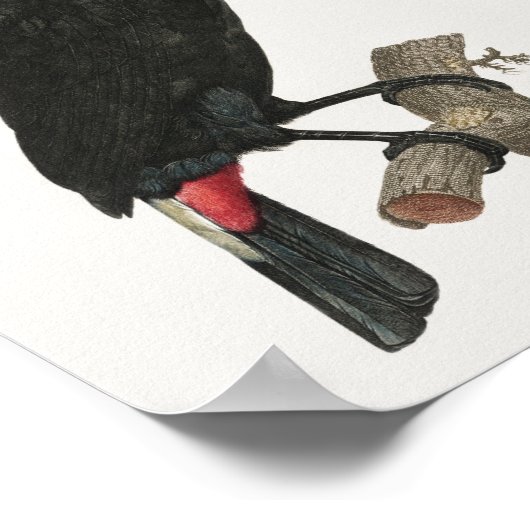 Vintages Touch Poster (Ecke)