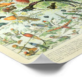 Vintages Tropenwald-Vogelposter Poster (Ecke)