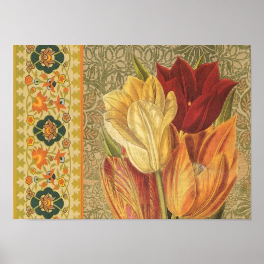 Vintages Tulip Blume Poster (Vorne)
