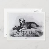 Vintages U.S. Mail Dog Foto Postkarte (Vorne/Hinten)