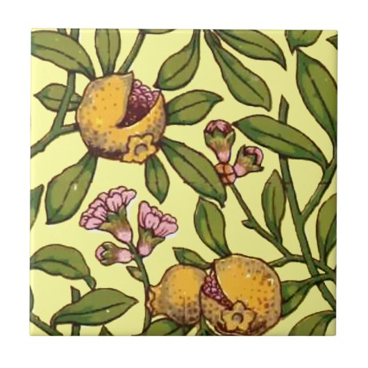 Vintages Viktorianisches Erbmodell Granatapfel Fliese (Vorderseite)