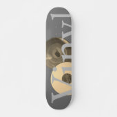 Vintages Vinyl Skateboard (Vorne)