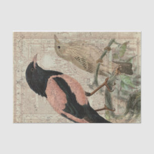 Vintages Vogel-Collagen-Seidenpapier Seidenpapier