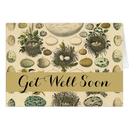 Vintages Vogeleier Nest Malereieier (Vorderseite (Horizontal))