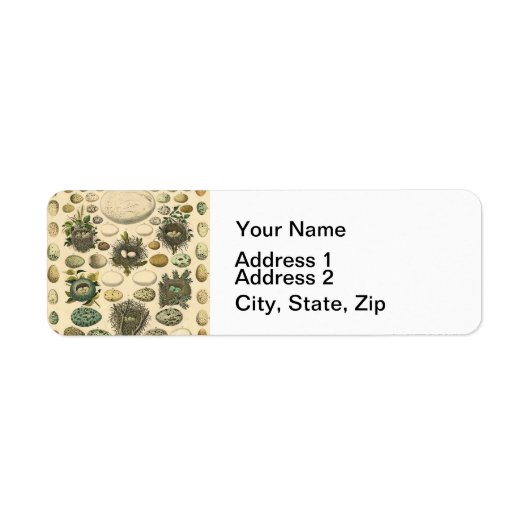 Vintages Vogeleier Nest Malereieier (Vorne)