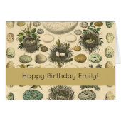 Vintages Vogeleier Nest Malereieier (Vorderseite (Horizontal))