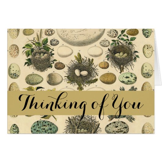 Vintages Vogeleier Nest Malereieier (Vorderseite (Horizontal))