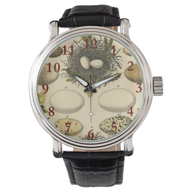 Vintages Vogeleier Nest Malereieier Armbanduhr (Vorderseite)