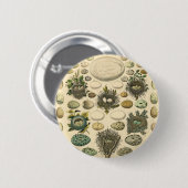 Vintages Vogeleier Nest Malereieier Button (Vorne & Hinten)