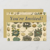 Vintages Vogeleier Nest Malereieier Einladung (Vorne/Hinten)