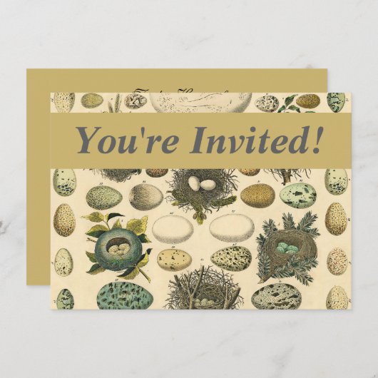 Vintages Vogeleier Nest Malereieier Einladung (Vorne/Hinten)