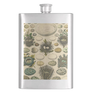 Vintages Vogeleier Nest Malereieier Flachmann