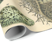 Vintages Vogeleier Nest Malereieier Geschenkpapier (Rolleneckpunkt)