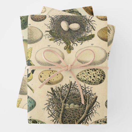 Vintages Vogeleier Nest Malereieier Geschenkpapier Set (Beispiel)