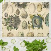 Vintages Vogeleier Nest Malereieier Geschirrtuch (Gefaltet)