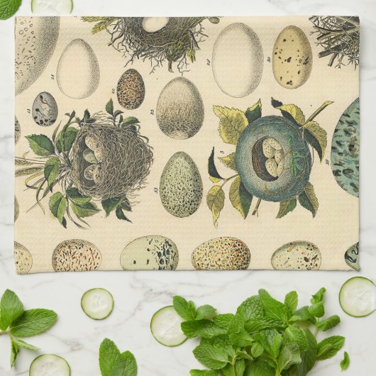 Vintages Vogeleier Nest Malereieier Geschirrtuch (Gefaltet)