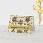 Vintages Vogeleier Nest Malereieier Karte (Gelbe Blume)