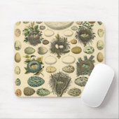 Vintages Vogeleier Nest Malereieier Mousepad (Mit Mouse)
