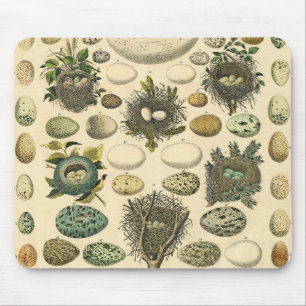 Vintages Vogeleier Nest Malereieier Mousepad