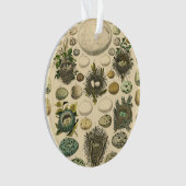 Vintages Vogeleier Nest Malereieier Ornament (Vorderseite)