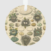 Vintages Vogeleier Nest Malereieier Ornament (Rückseite)