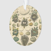 Vintages Vogeleier Nest Malereieier Ornament (Vorderseite)
