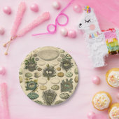 Vintages Vogeleier Nest Malereieier Pappteller (Party)