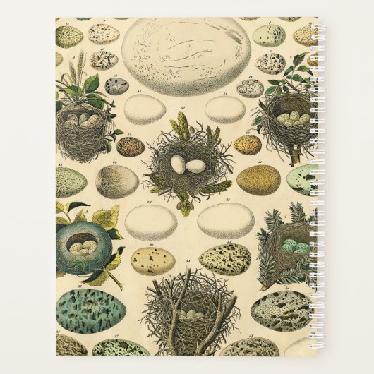 Vintages Vogeleier Nest Malereieier Planer (Rückseite)