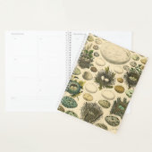 Vintages Vogeleier Nest Malereieier Planer (Anzeige)